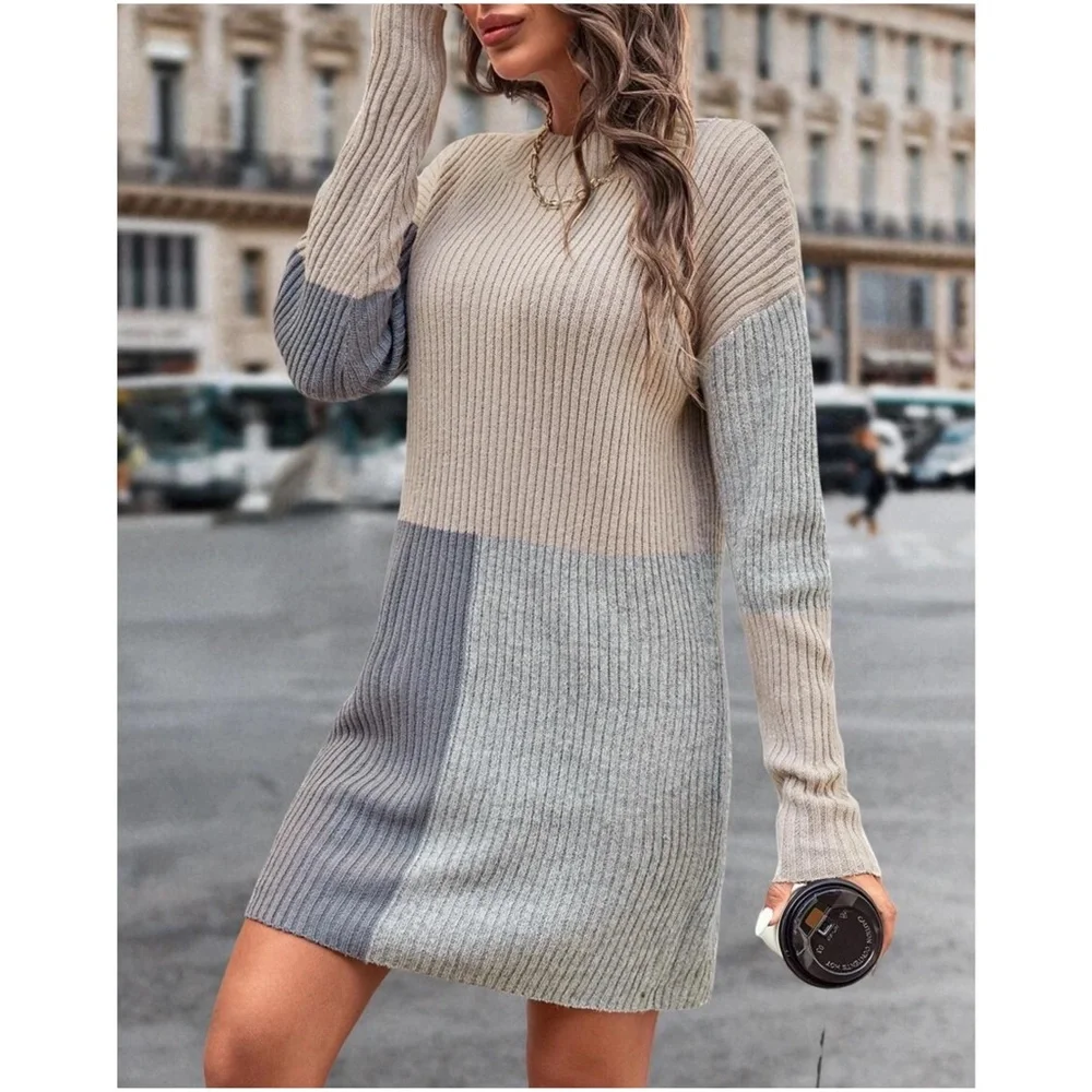 Cozy Color Block Mock Neck Sweater Dress - Picture 2 of 3